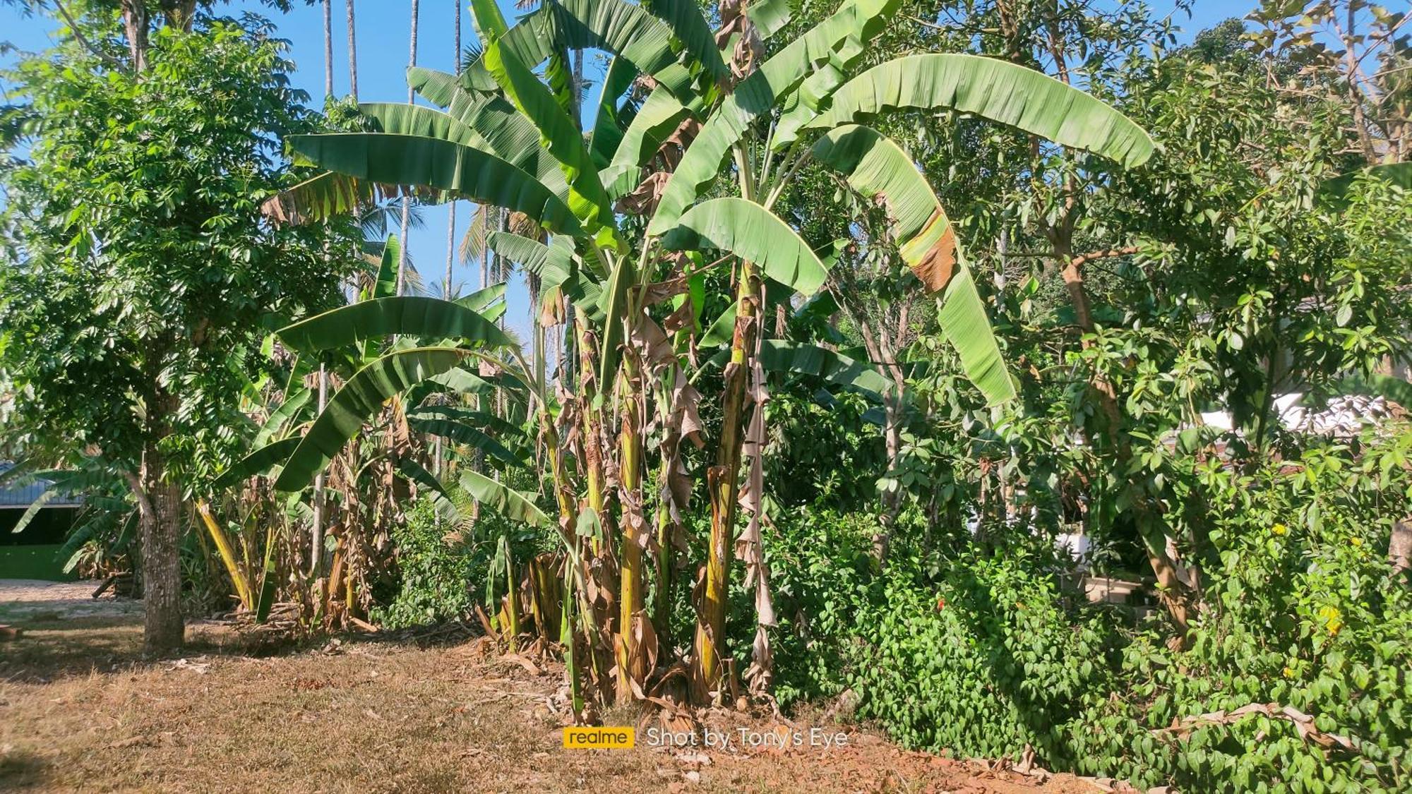 Karapuzha Adventure Park Homestay-By Karapuzha Resorts Meenangadi Extérieur photo